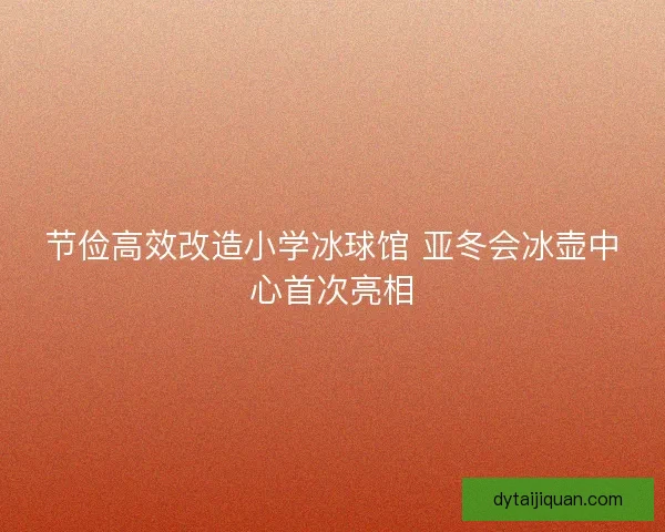 节俭高效改造小学冰球馆 亚冬会冰壶中心首次亮相