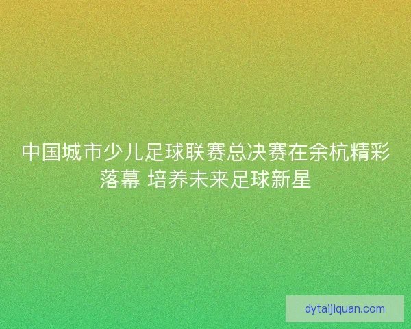 中国城市少儿足球联赛总决赛在余杭精彩落幕 培养未来足球新星